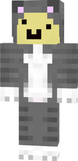 gato