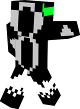 selokts