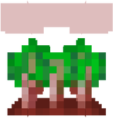 dwd