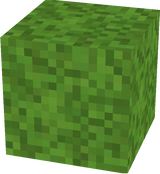 Dark Oak Leaves Changed to Grass!