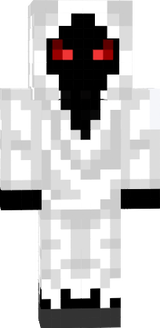 entiti 303