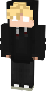 Skin 1