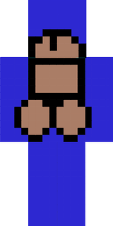PICAMEN