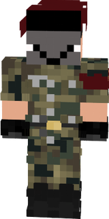 SKINMOLTOBELLACOPERTURAOHYEAH