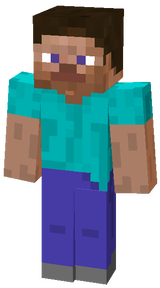 steve