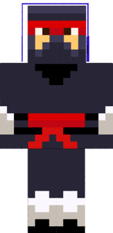 NinjaBob