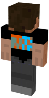 IVVŠ