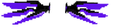 Elytra