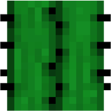 cactus_top