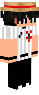 skin