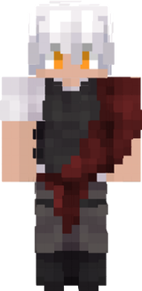 skin 1