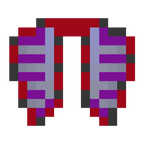 Elytra