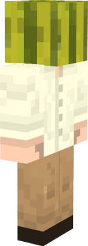 sas