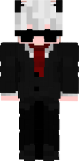 sd ds