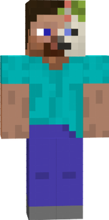 Steve prime