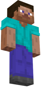 steve