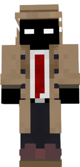 Mystery Guy