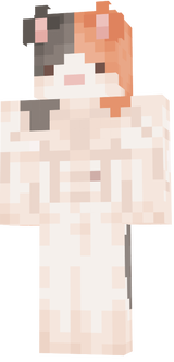 SkinGatoMamadoSinPantalones