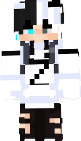 zaas v4