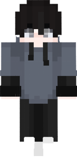 rtx2333