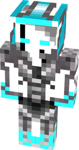 ice ninja