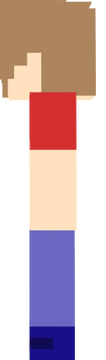 poizizon 