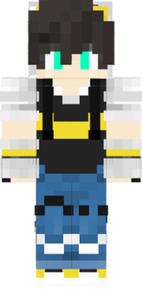 akirs pixelmon mega 11111