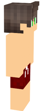 Swimming Trunks