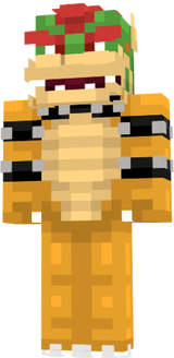 Bowser Skin