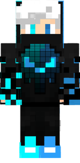 skin 1