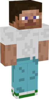 casual steve