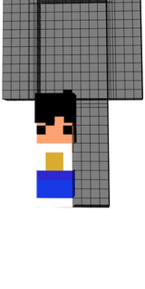 mini skin