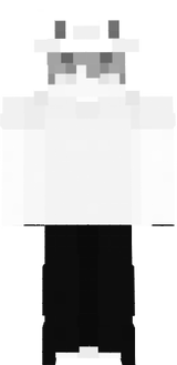 gatoyoto