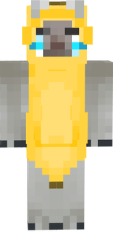 skin 7