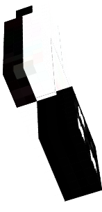 ski