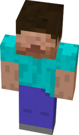 steve