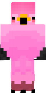 flamingo