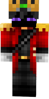 Alternative style roi EnderMan