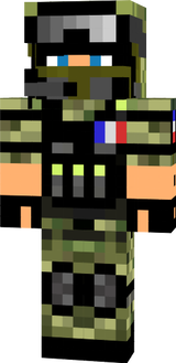 Sentinal 231