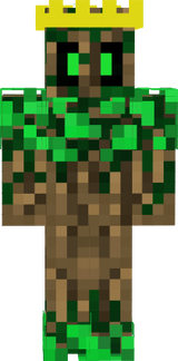 Drzewo
