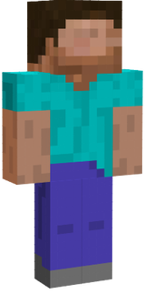 Steve WIP