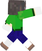 shiho