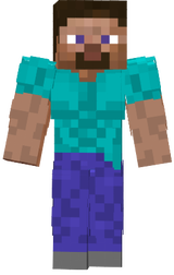 steve 1.0