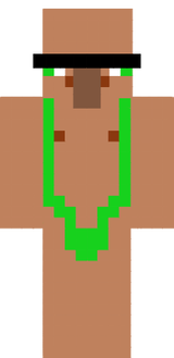 mincraft skin 2.0