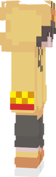 pato avión