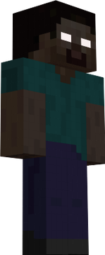 Y H