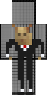 Gato Traje