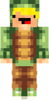 Mecha tortoise