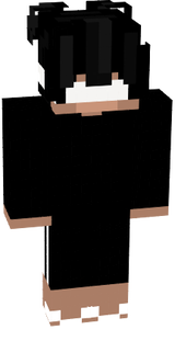 Terminei