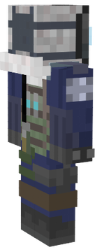 sas